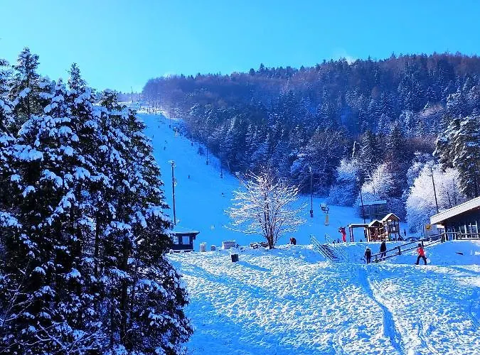 Aparthotel Mari I 4*